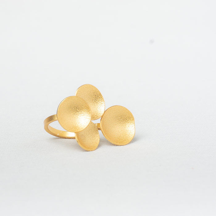 Anillo Arawa